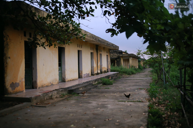 nhung phan gia cuoi cung o trai phong bo hoang tai ha noi song buon te an uong dam bac chi doi cho cai chet