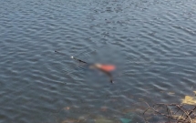 nghe an bang hoang phat hien thi the nguoi dan ong troi noi mat up xuong nuoc