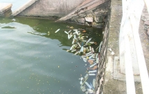 ha noi bao cao su da qua su dung noi trang mot goc ho tay cong an vao cuoc dieu tra