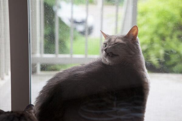 19 noi ha canh yeu thich sau moi chuyen bay nhay tung tay cua cac boss meo