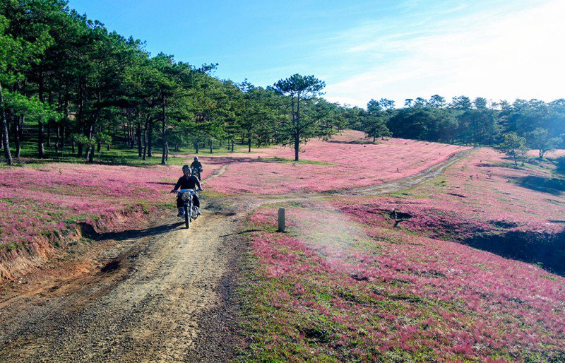 da lat lan dau tien to chuc mua hoi co hong