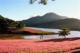 da lat lan dau tien to chuc mua hoi co hong