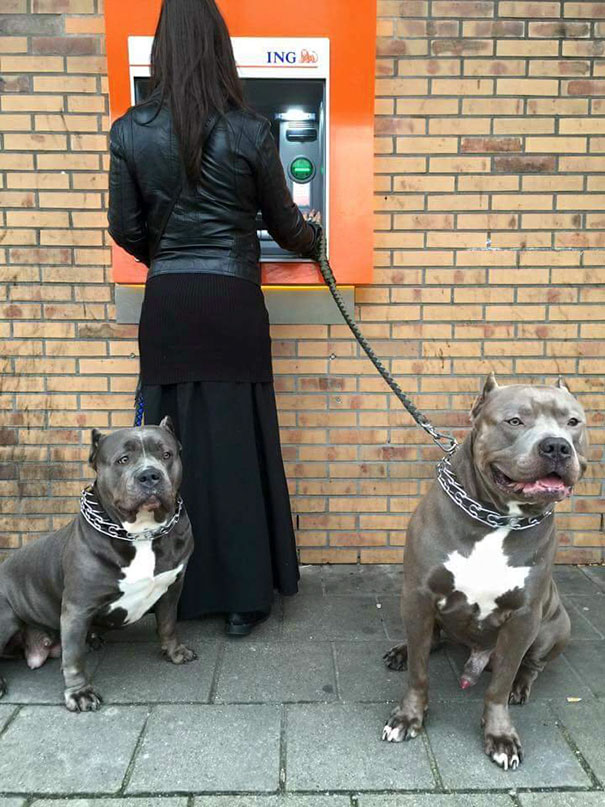nhung chu cho vao vai bao ke mau mat tai cac cay atm vao ban dem