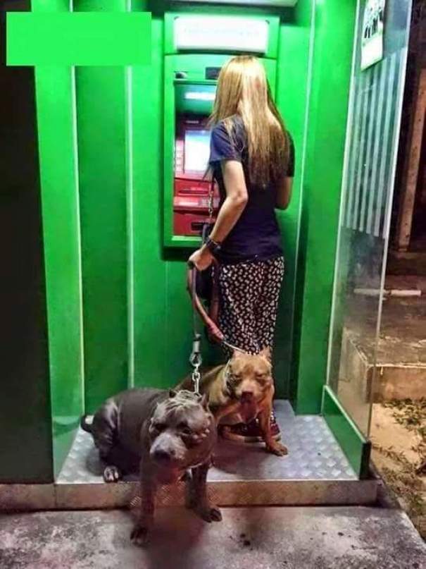 nhung chu cho vao vai bao ke mau mat tai cac cay atm vao ban dem