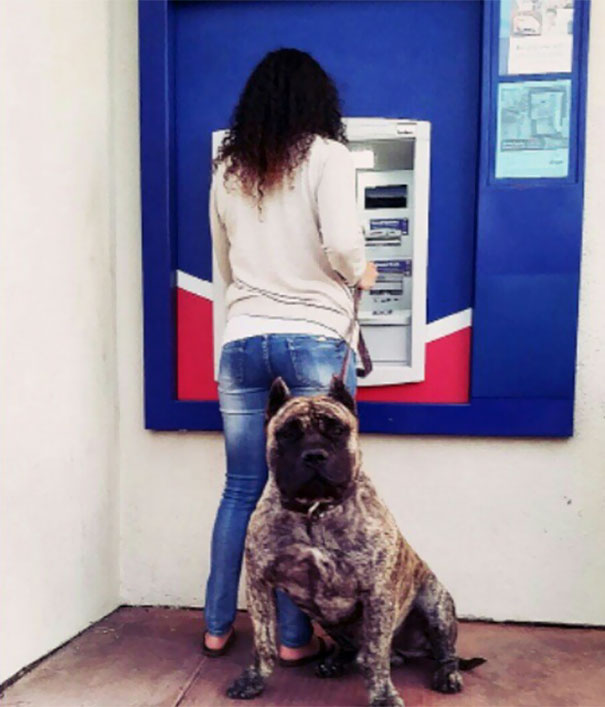 nhung chu cho vao vai bao ke mau mat tai cac cay atm vao ban dem