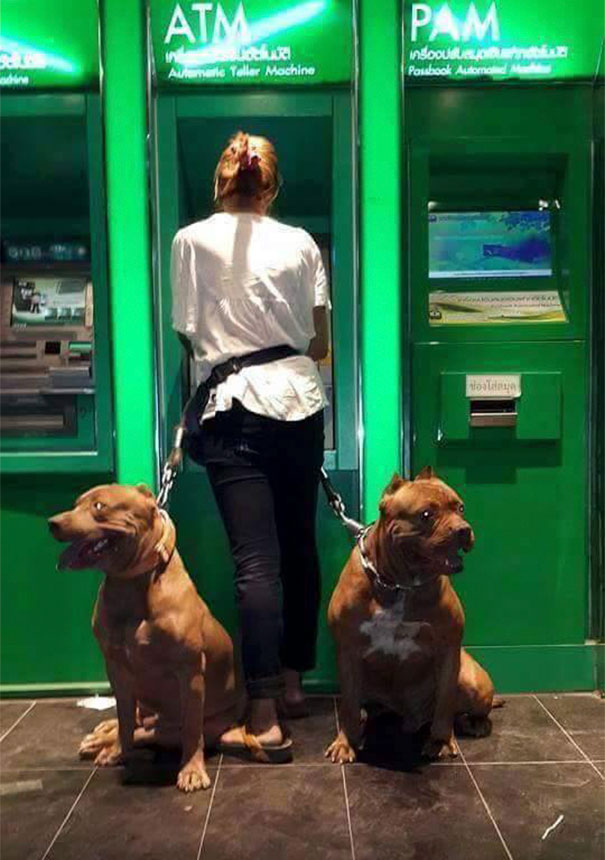 nhung chu cho vao vai bao ke mau mat tai cac cay atm vao ban dem