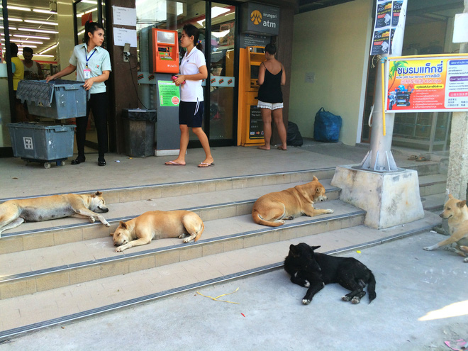 nhung chu cho vao vai bao ke mau mat tai cac cay atm vao ban dem