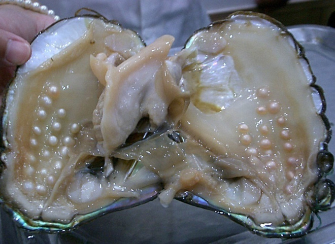16 su that phat gom an chua ben trong nhung thu tuoi dep trong cuoc song