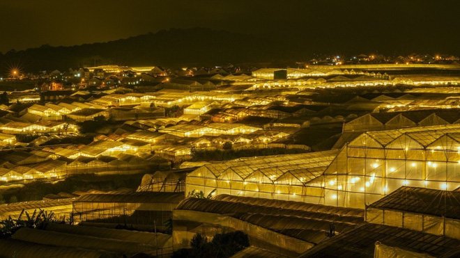 da lat nong len vi nha kinh nhung mang xanh bi lap hang loat vuon tuoc ngap ung khien nguoi dan kho so