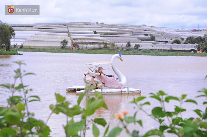 da lat nong len vi nha kinh nhung mang xanh bi lap hang loat vuon tuoc ngap ung khien nguoi dan kho so