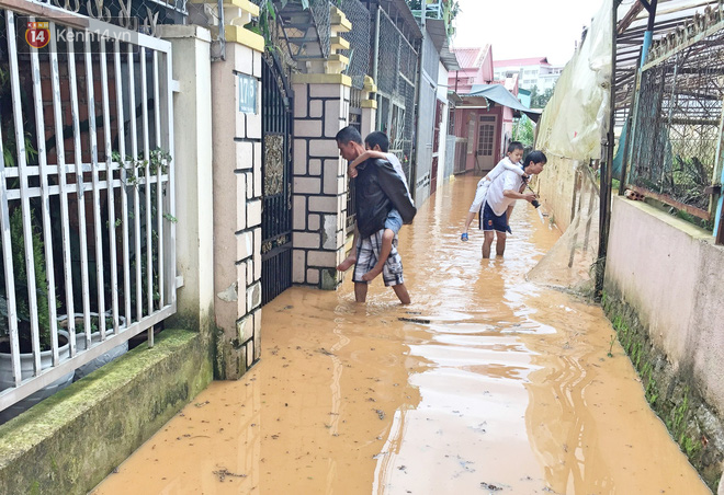 da lat nong len vi nha kinh nhung mang xanh bi lap hang loat vuon tuoc ngap ung khien nguoi dan kho so