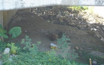 nghe an hot hoang phat hien thi the nguoi dan ong noi duoi chan cau cua tien