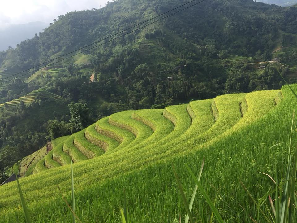 tuan le kham pha di san ruong bac thang hoang su phi