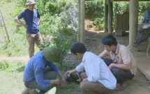 vu trau bo chet nhu nga ra o nghe an nguoi dan bat chap xe thit trau chet de ve an