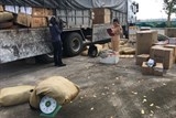 thanh hoa bat giu xe tai cho 1250 kg da da dieu boc mui oi thiu khong co giay to hop le