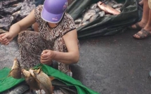 xe tai cho ca bi lat nhieu nguoi dan hoa binh giup do thu gom ca vuong vai tren duong roi mua ung ho tai xe