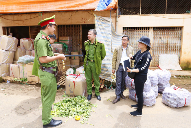 tieu thuong cho nong san da lat xin lui thoi gian chuyen khoai tay trung quoc ton kho ra ngoai