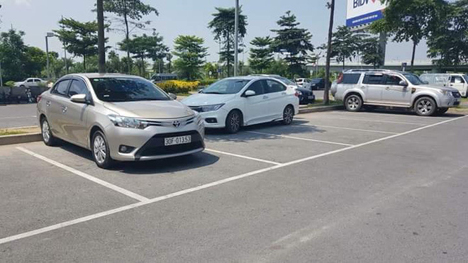 chon cho bong ram do o to tai xe tao nen hinh anh khien ai nhin cung thay ngao ngan