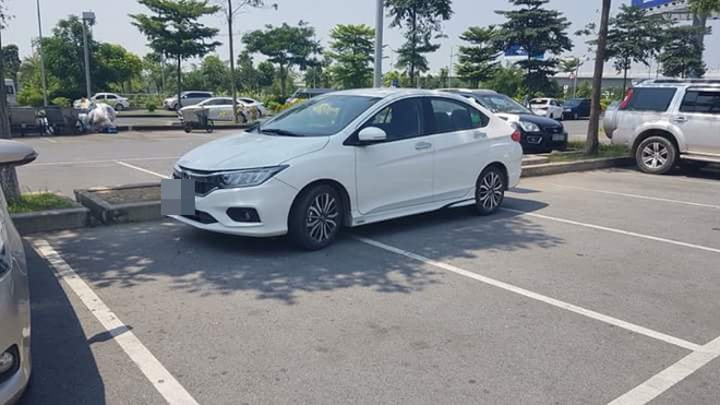 chon cho bong ram do o to tai xe tao nen hinh anh khien ai nhin cung thay ngao ngan