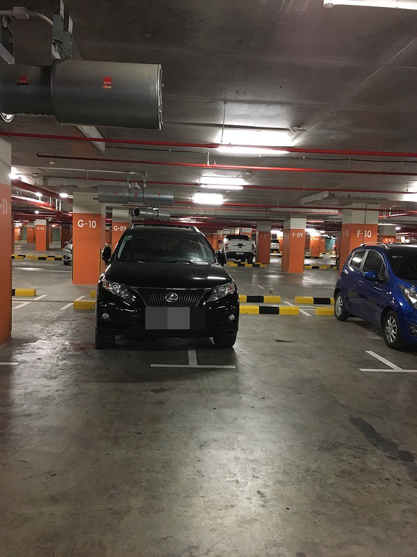 chon cho bong ram do o to tai xe tao nen hinh anh khien ai nhin cung thay ngao ngan