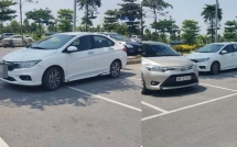 chon cho bong ram do o to tai xe tao nen hinh anh khien ai nhin cung thay ngao ngan