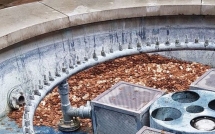 bo lai dong dong xu tri gia 30 trieu dong nguoi nghe si bat ngo khi quay lai sau 1 ngay