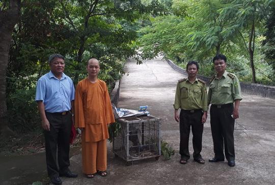 hue vuon quoc gia bach ma tai tha dong vat hoang da ve voi moi truong tu nhien