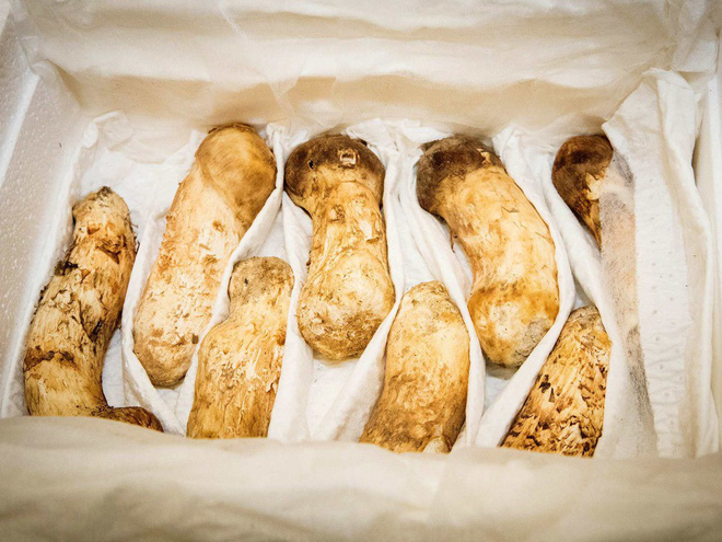 tt han quoc khep lai hanh trinh dep nhu mo lanh dao trieu tien tang qua khung