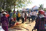 va cham voi xe cung chieu 1 nguoi tu vong o ca mau