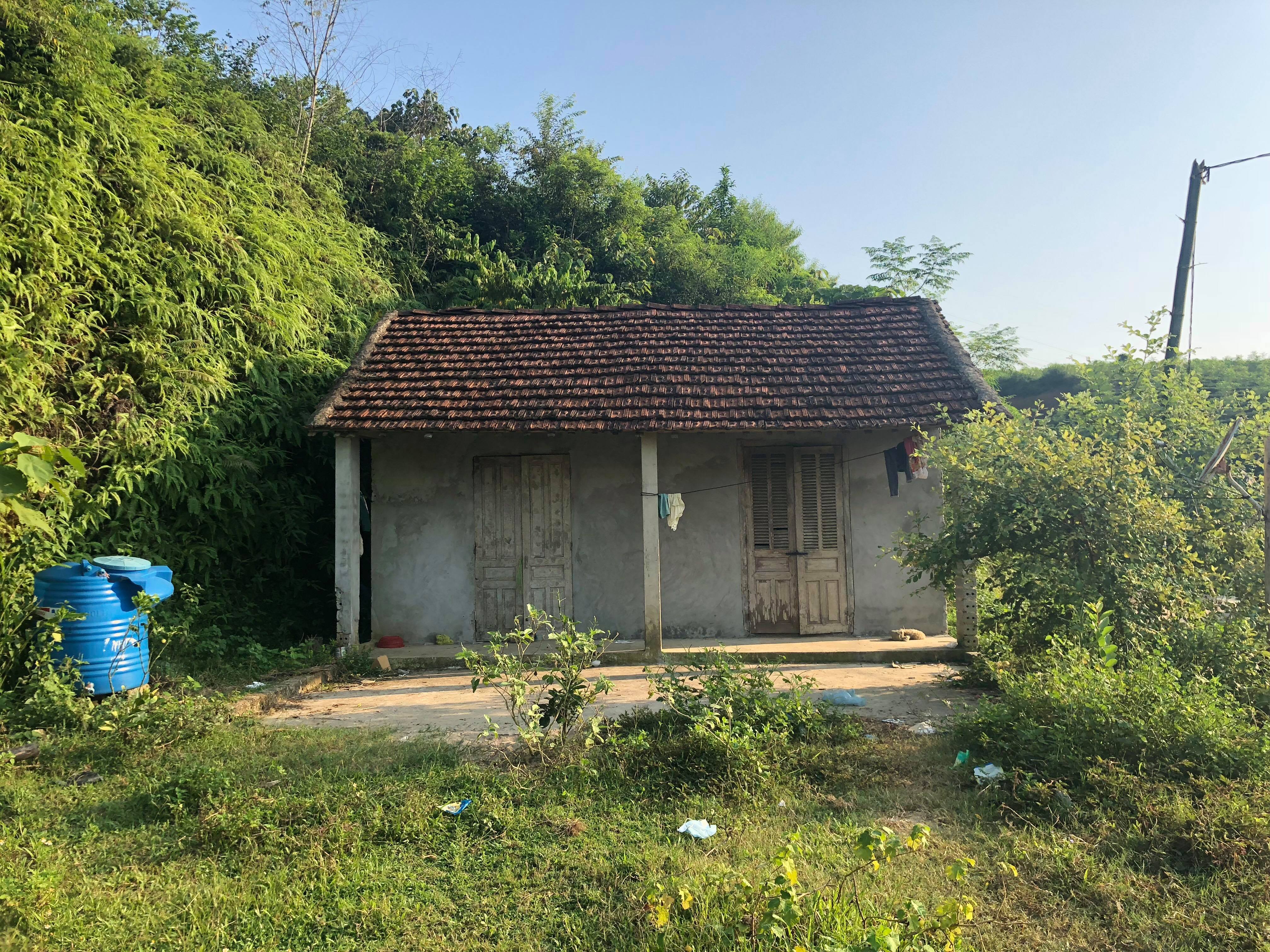 nguyen nhan khien ga cha nat ruou hai chet con o phu tho