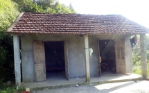 cha cua co con gai 10 tuoi tu vong vi xin di tap van nghe