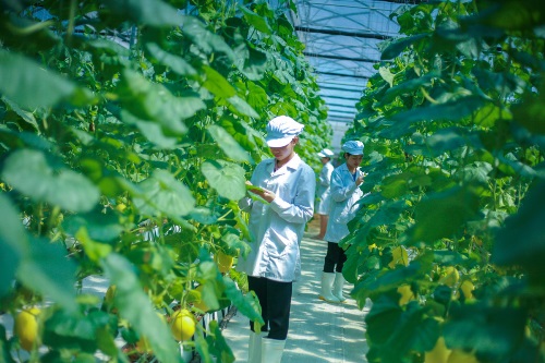 thanh hoa hoi cho mua thu lam kinh 2018 dien dan xuc tien dau tu ket noi giao thuong