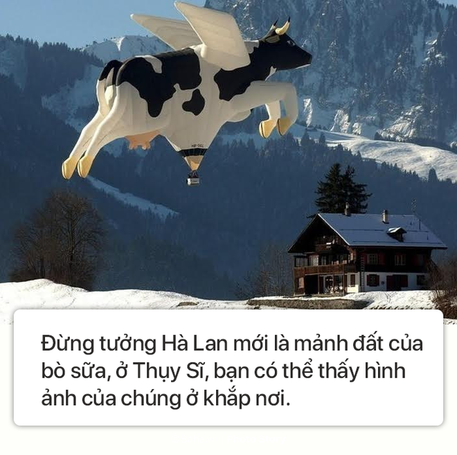 photo story 10 dieu chi thuy si moi co so 4 qua ky quac so 6 ca tre con va nguoi lon deu thich