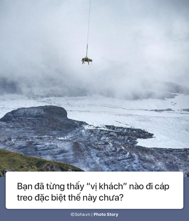 photo story 10 dieu chi thuy si moi co so 4 qua ky quac so 6 ca tre con va nguoi lon deu thich