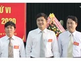 bo noi vu quang nam bo nhiem giam doc so 30 tuoi dung quy trinh