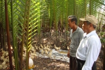 nuoi vit bien thich ung bien doi khi hau