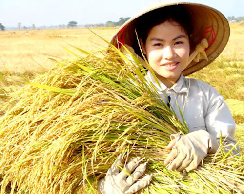 thu tuong phe duyet chien luoc doi voi 11 nganh hang nong san