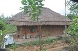 dai gia bo biet thu do ve que o nha tranh mai la