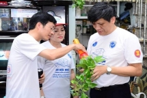 se dang ky luu hanh vac xin sot xuat huyet