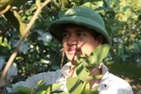 Lệ Rơi về quê, tính đường bán ổi trả nợ