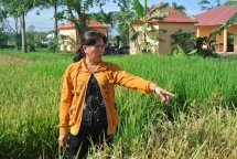 mo hinh canh tac moi giup nong dan thich ung bien doi khi hau