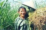 anh hung lao dong ho giao da ve voi co