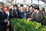 ha nam toyoma tang hop tac dau tu nong nghiep