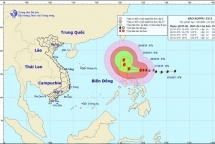 bao koppu dang tien vao bien dong