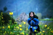 viet nam lot top dia diem du lich mua dong hap dan nhat the gioi