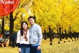 bao lanh nguoi than sang han quoc du lich lam the nao