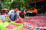bi thuong lai ep gia nong dan ly son dem hanh toi ra ha noi ban