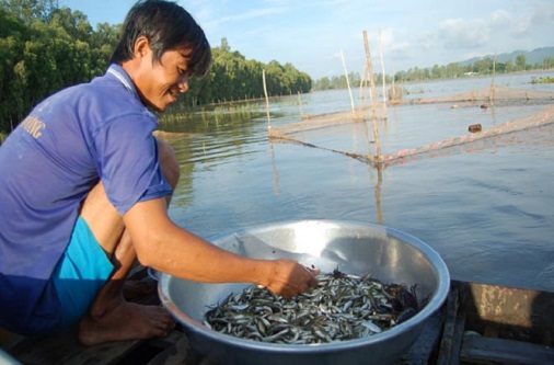 mien tay nam nay thua mua nuoc noi ca linh di mai chua ve
