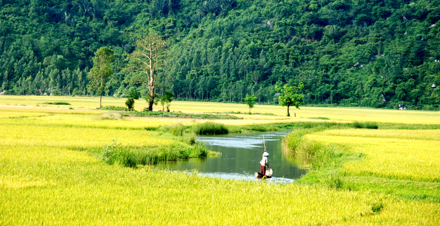 phat trien kinh te du lich phai la luong kho an dan