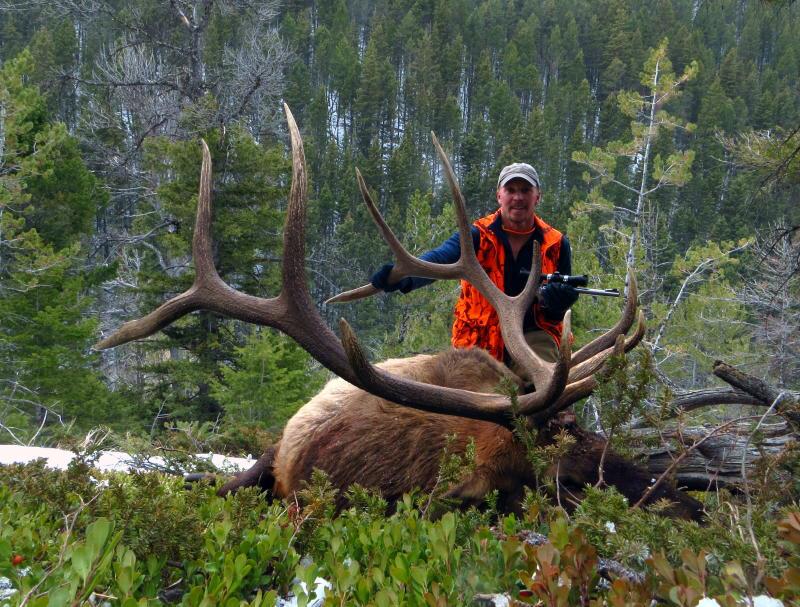 thoat chet than ky sau 2 lan bi gau du tan cong